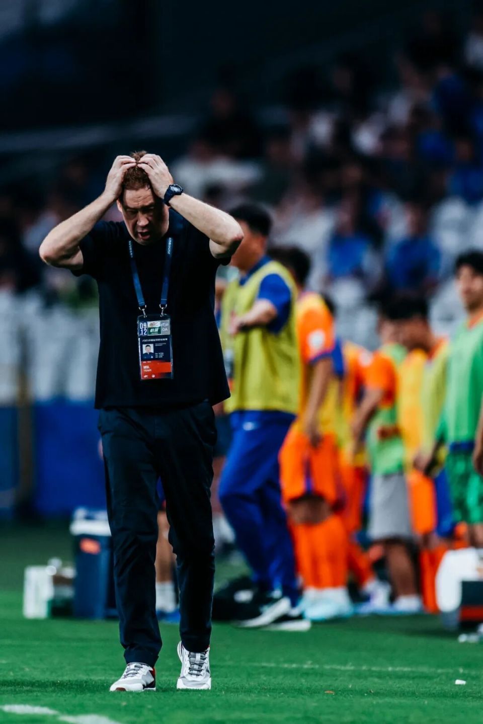 迎战领头羊, https